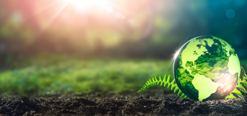 Earth Day Activities: 7 Inspiring Activities To Celebrate Earth Day At Work